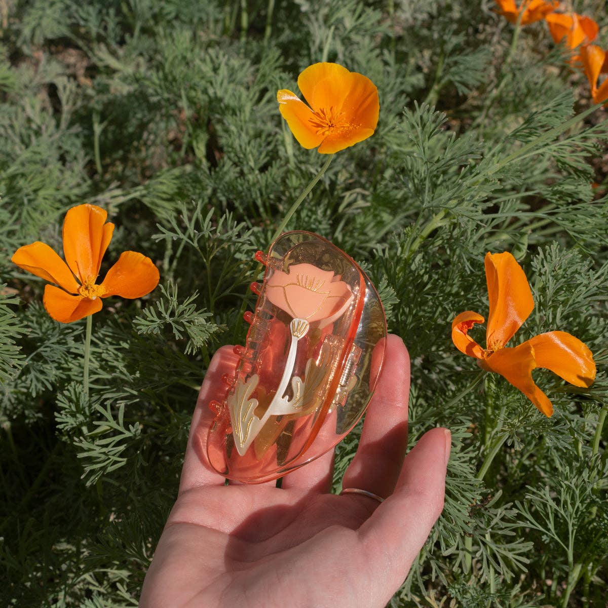 California Poppy Claw Orange