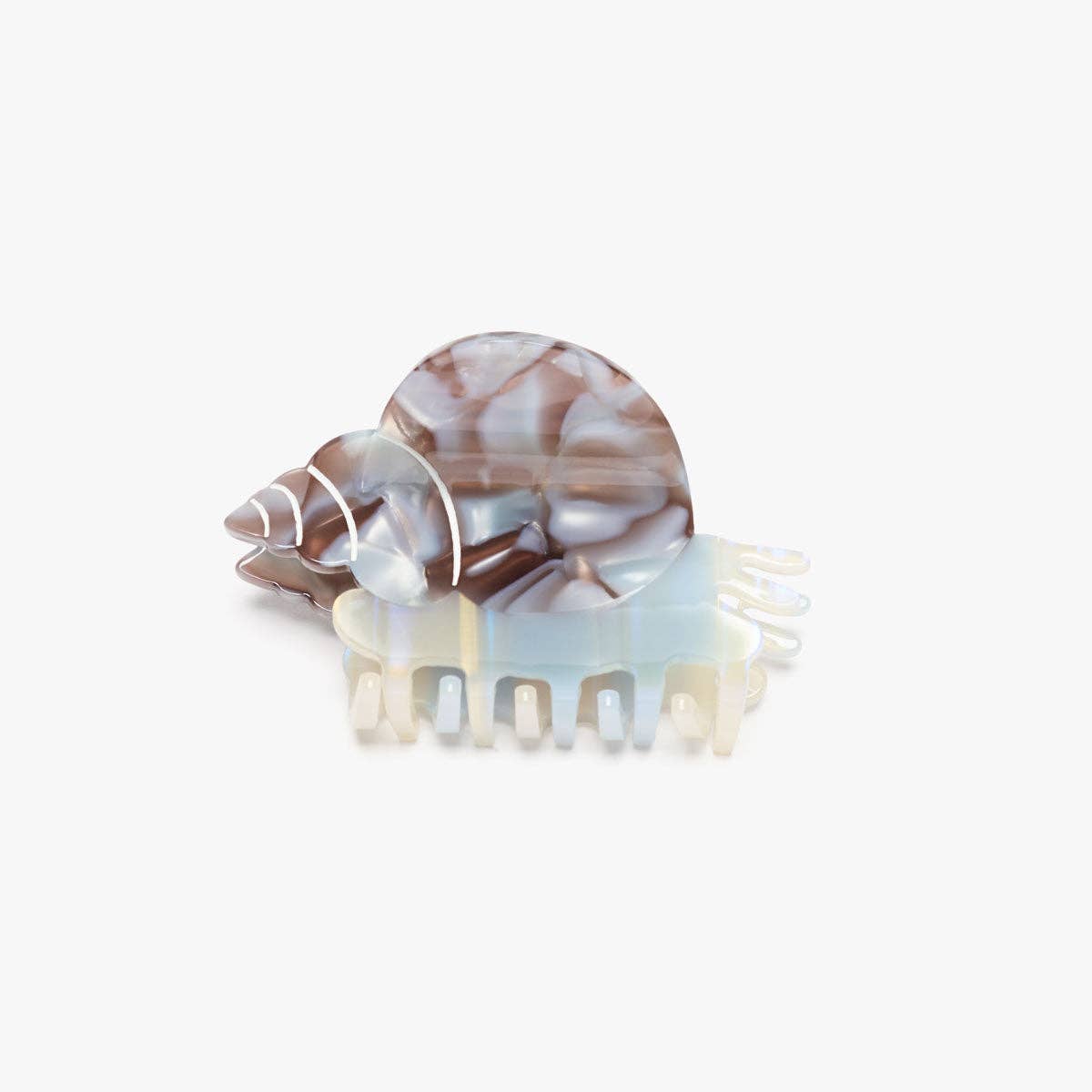 Blue Whelk Sea Snail Shell Claw Clip