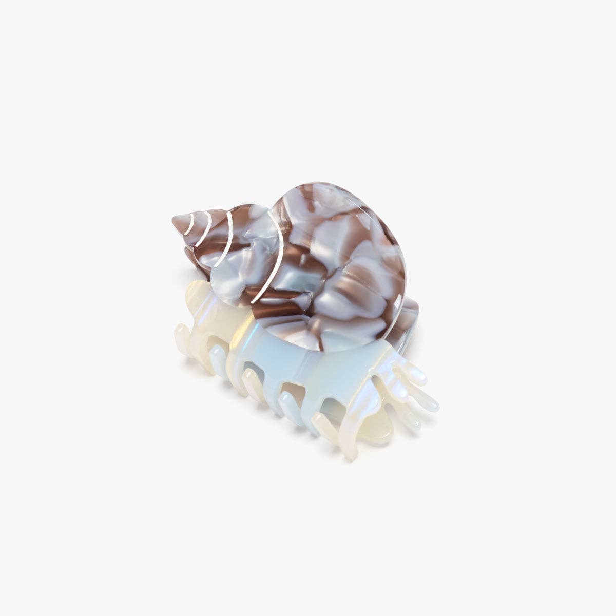 Blue Whelk Sea Snail Shell Claw Clip