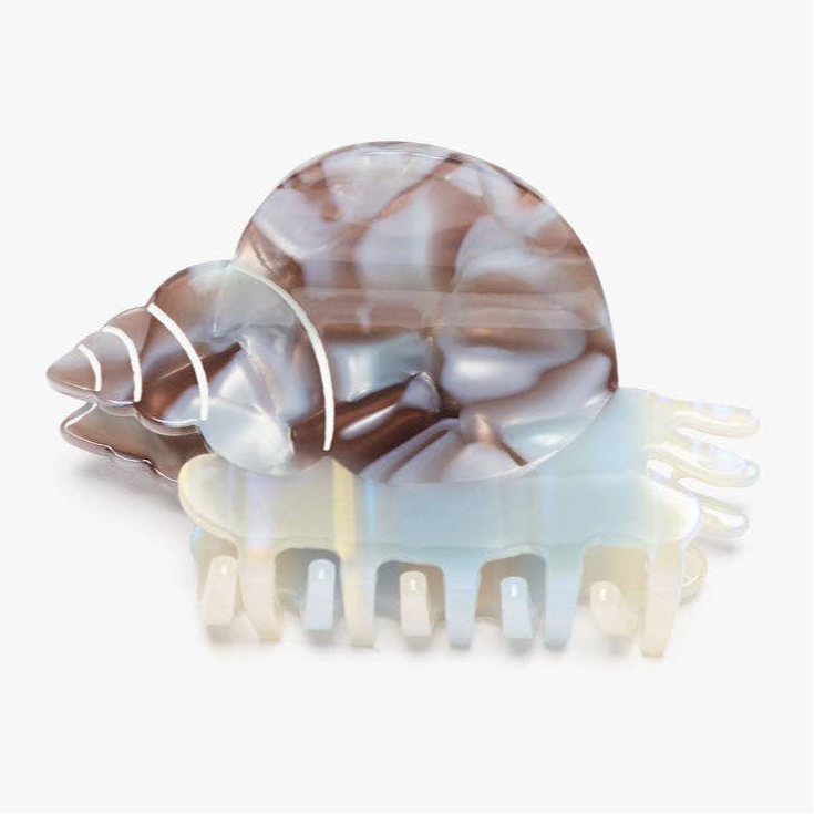 Blue Whelk Sea Snail Shell Claw Clip