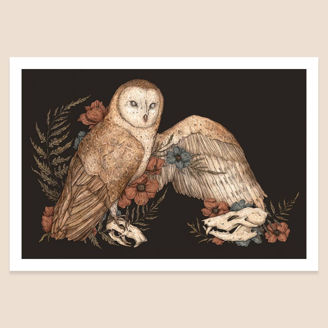 12” x 8” Barn Owl Print