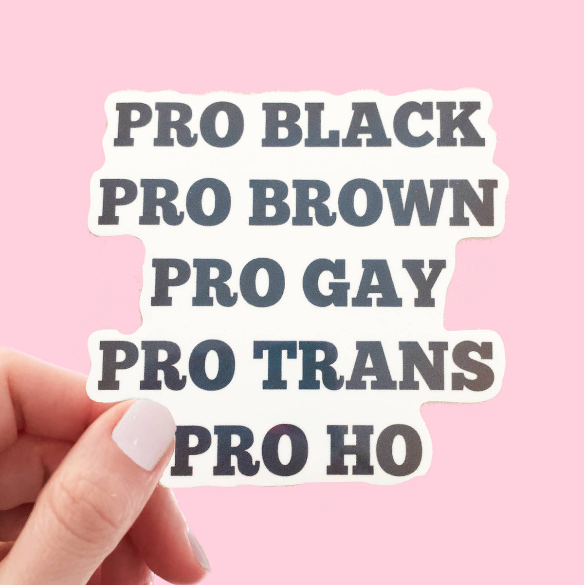 Pro Black Pro Brown Pro Gay Pro Trans Pro Ho Matte Sticker