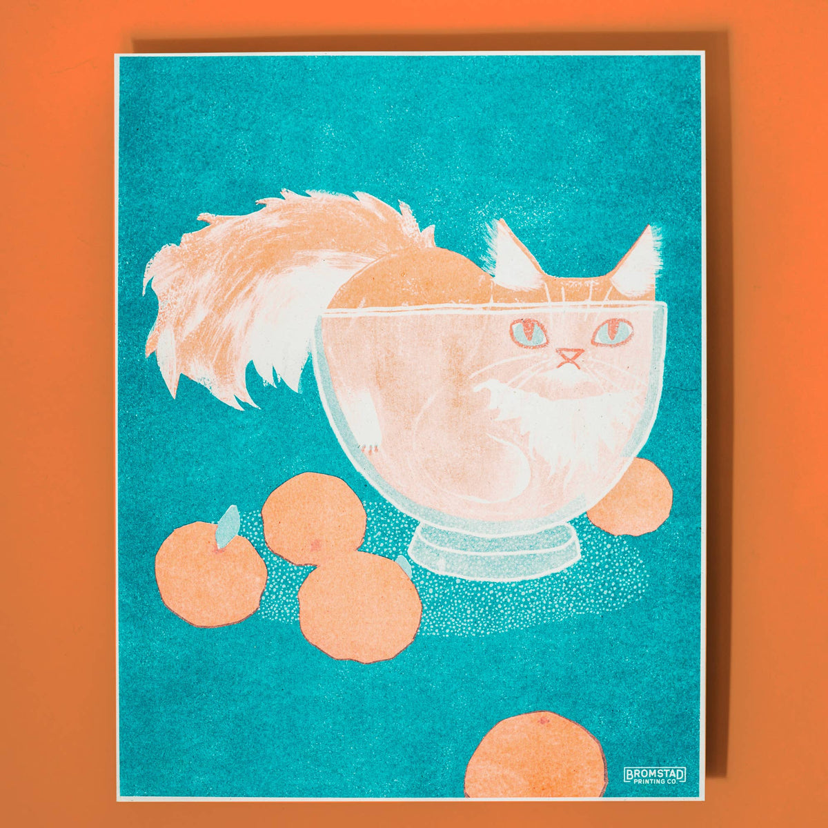 Orange Cat in a Bowl - Risograph Print