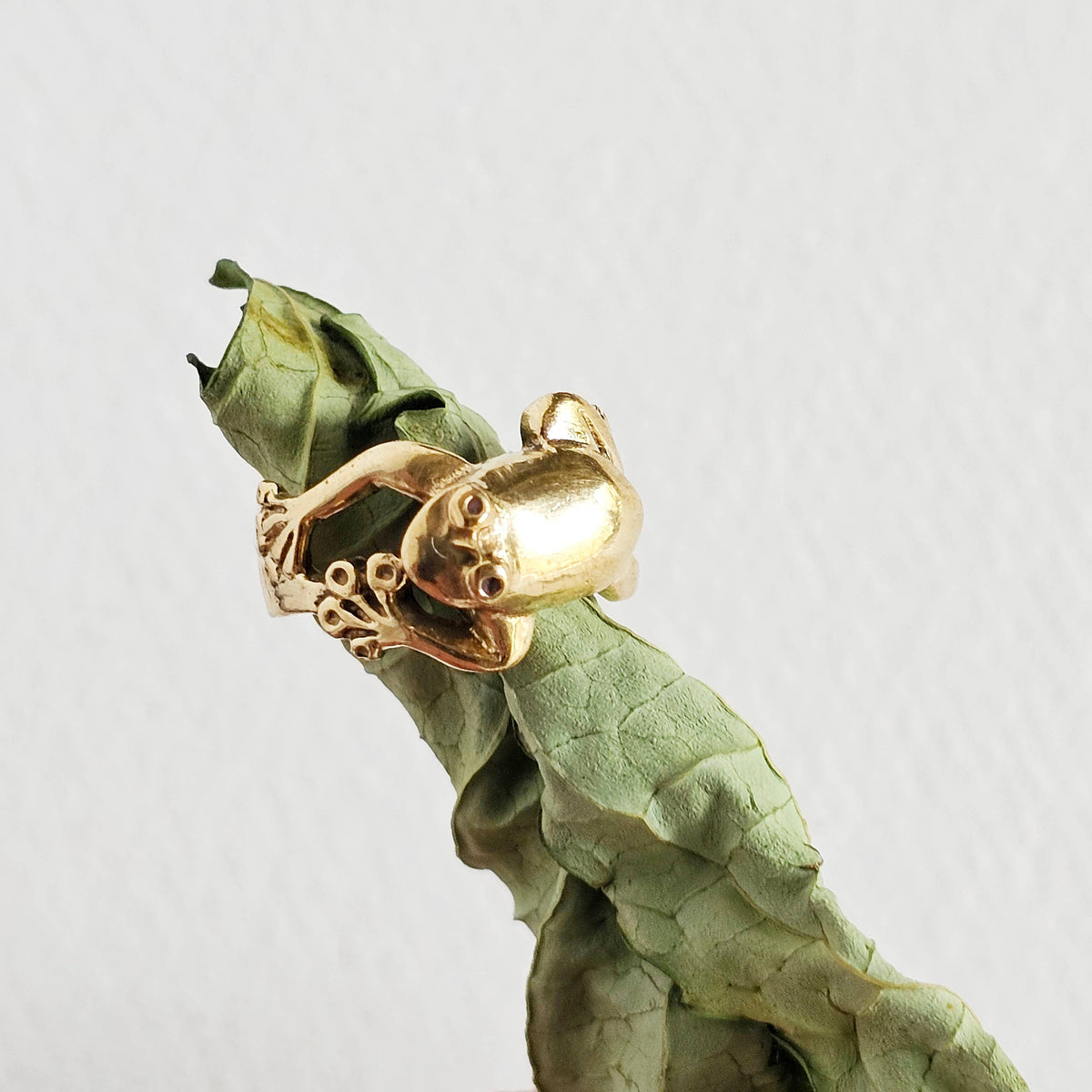 Brass frog animal ring adjustable cute nature jewelry