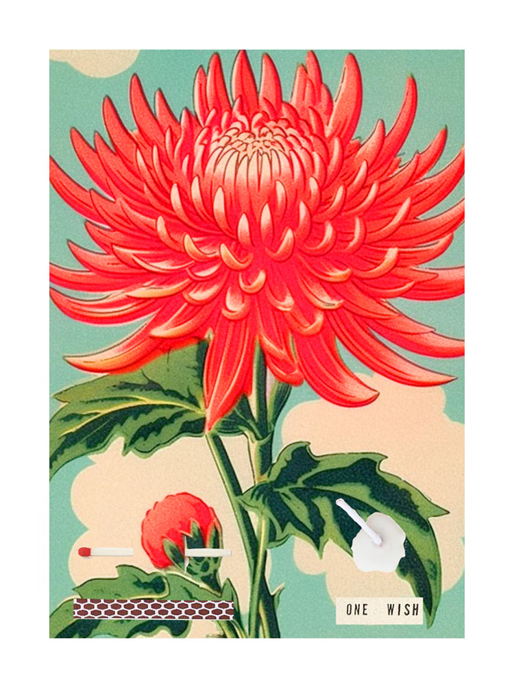 Red Dahlia