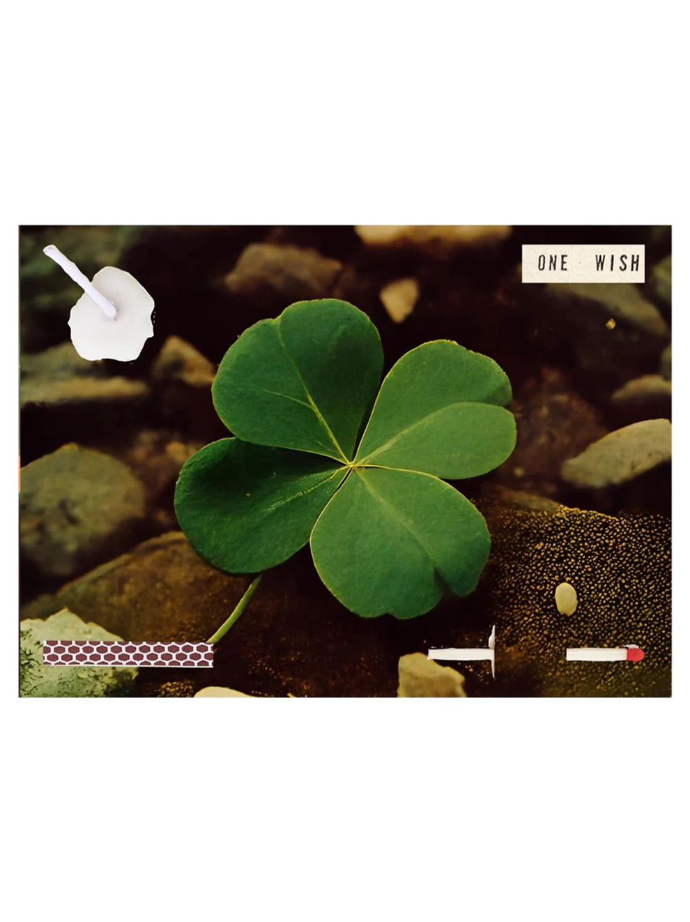 Four Leaf Clover