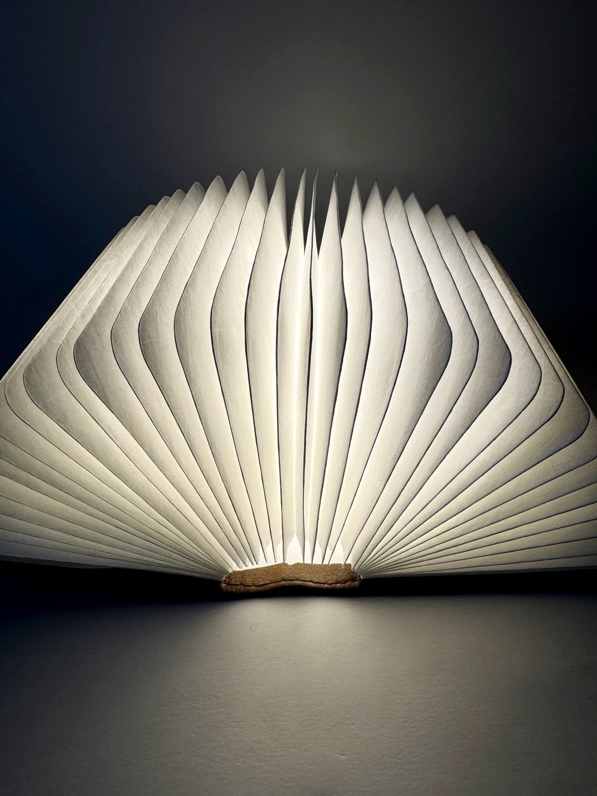 Ginkgo: Smart Book Light