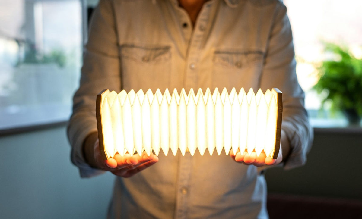 Ginkgo Smart Accordion Lamp