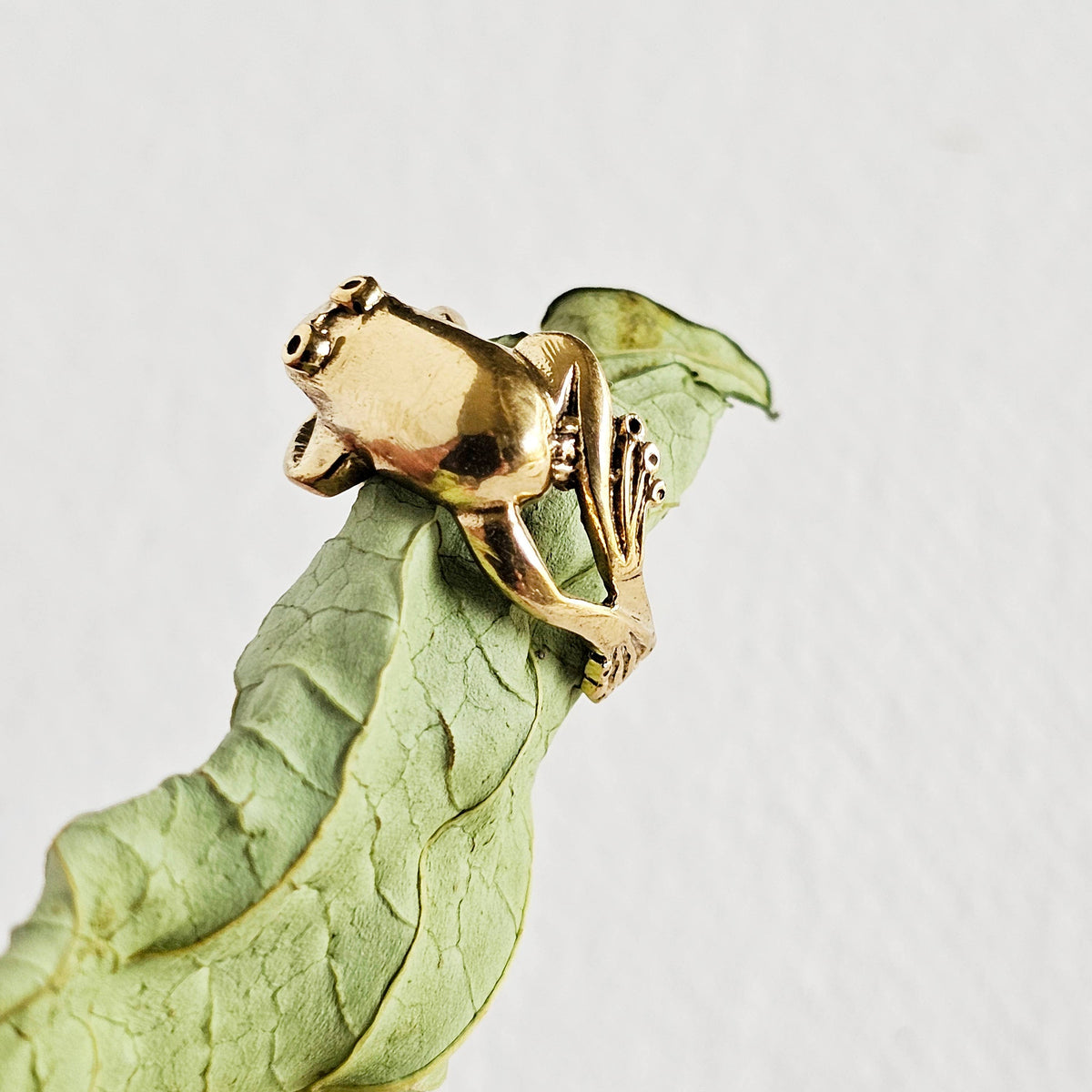 Brass frog animal ring adjustable cute nature jewelry