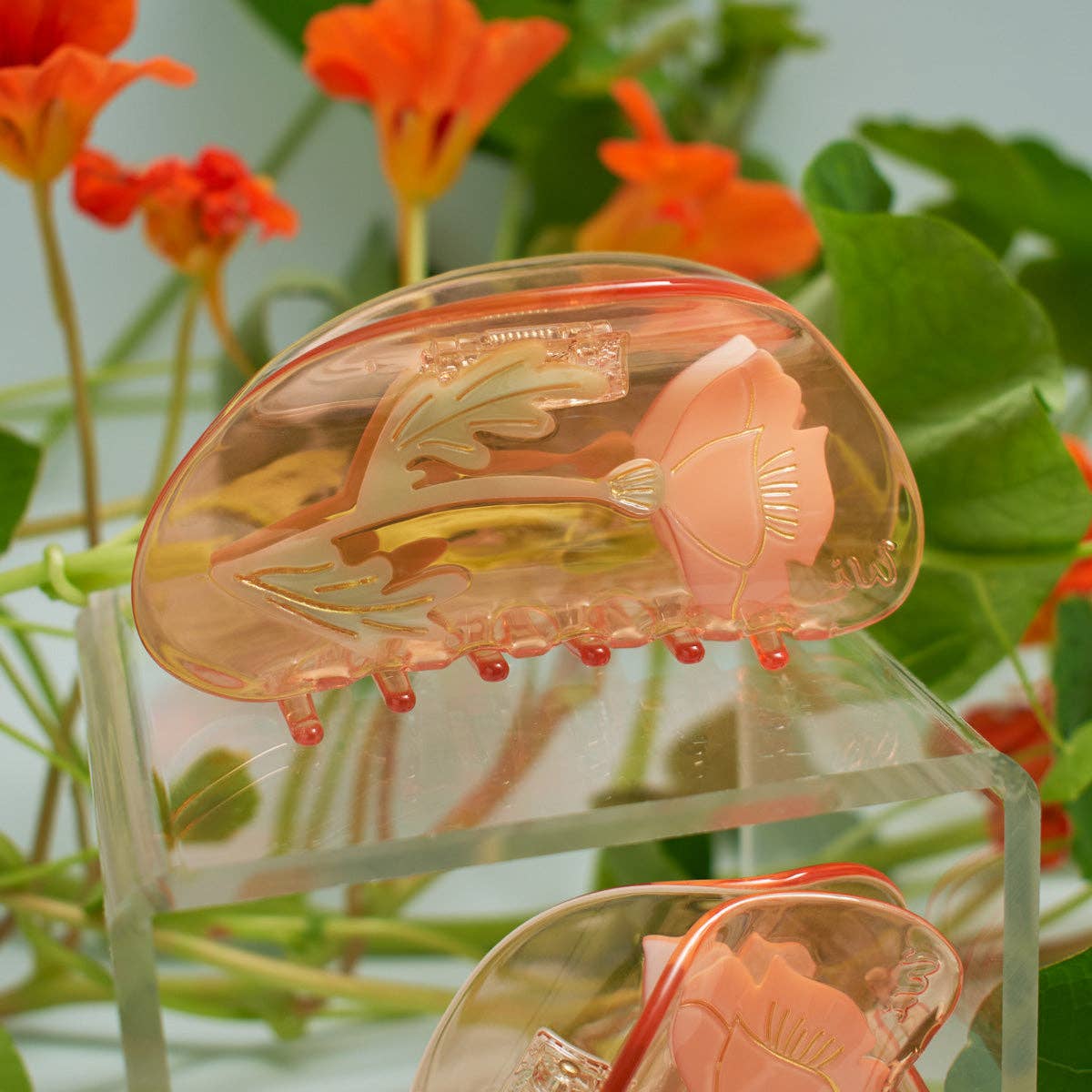 California Poppy Claw Orange