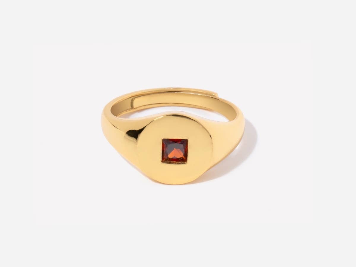Garnet Signet Ring in 14K Gold