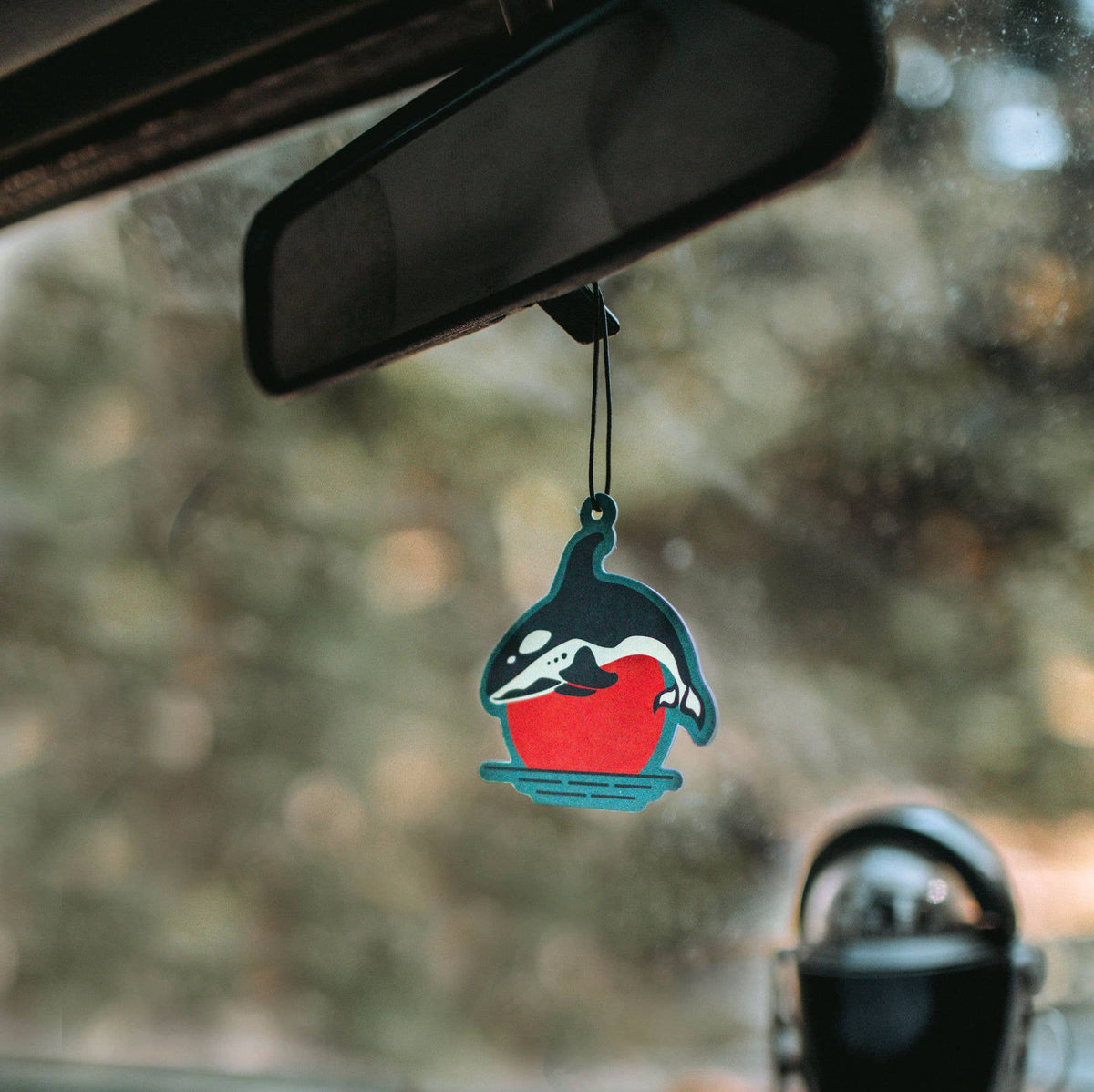 San Juan Islands Air Freshener / Auto Fragrance